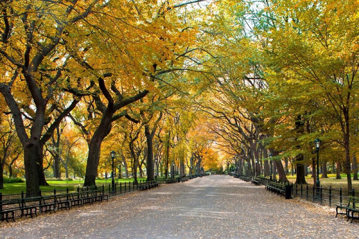new york state travel guide discover the empire state