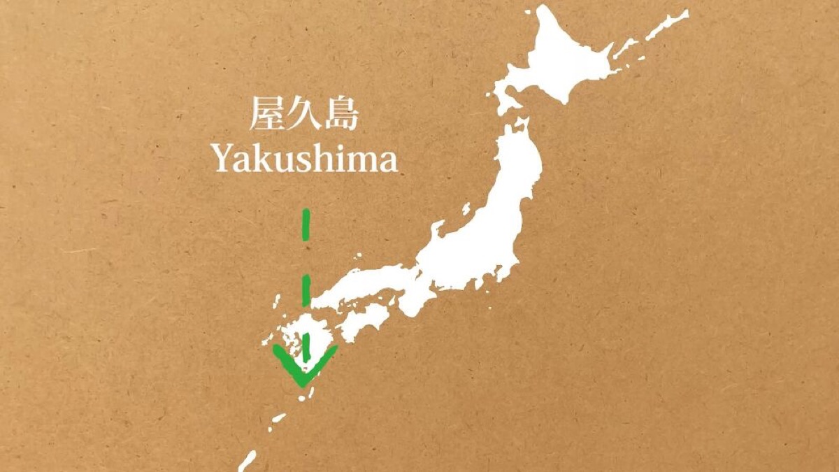 exploring yakushima a journey through japans enchanted island