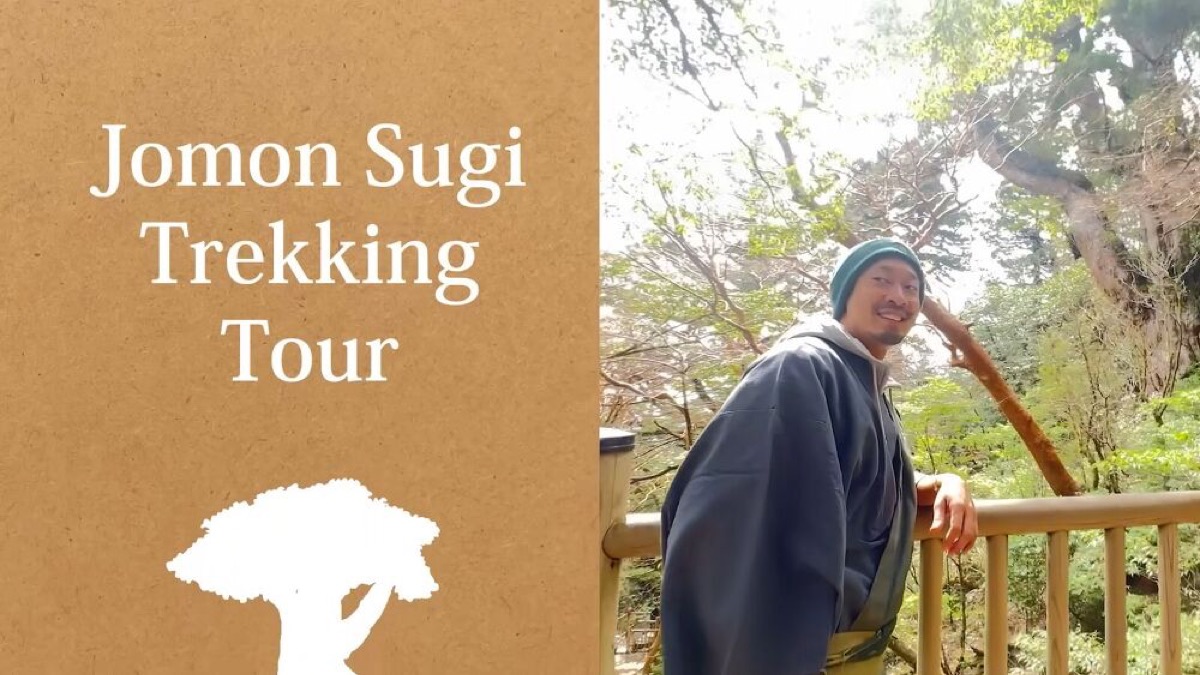 exploring yakushima a journey through japans enchanted island