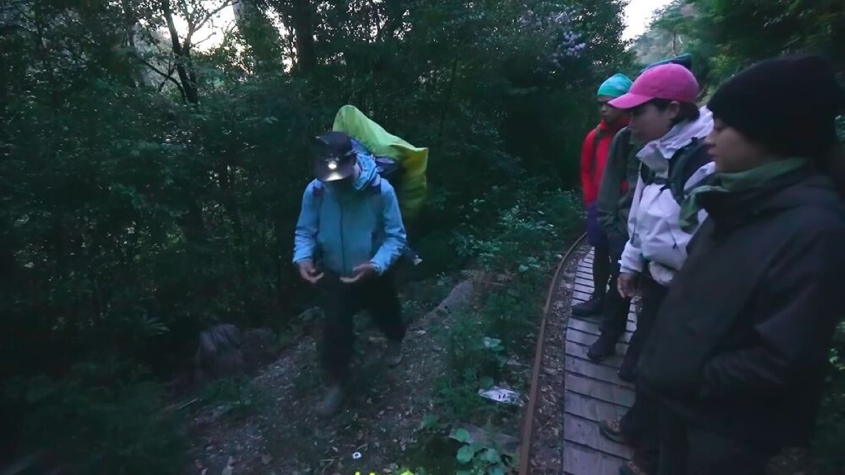 exploring yakushima a journey through japans enchanted island