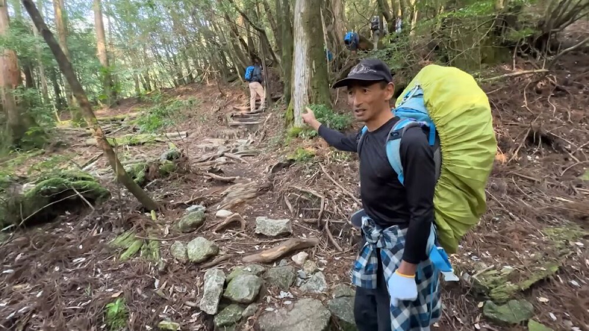 exploring yakushima a journey through japans enchanted island