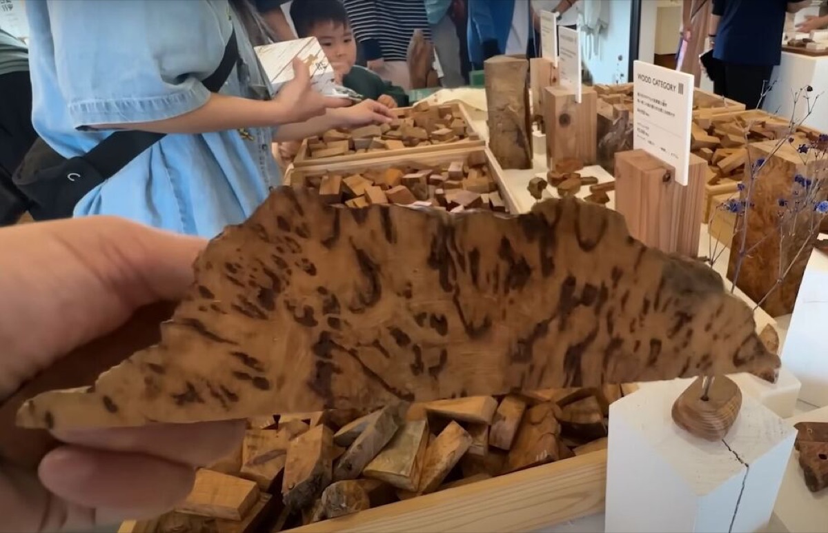 exploring yakushima a journey through japans enchanted island