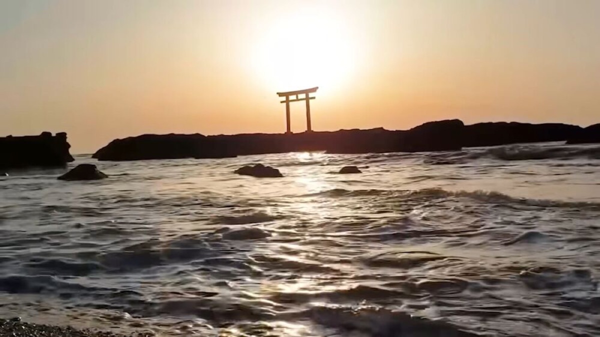 exploring yakushima a journey through japans enchanted island